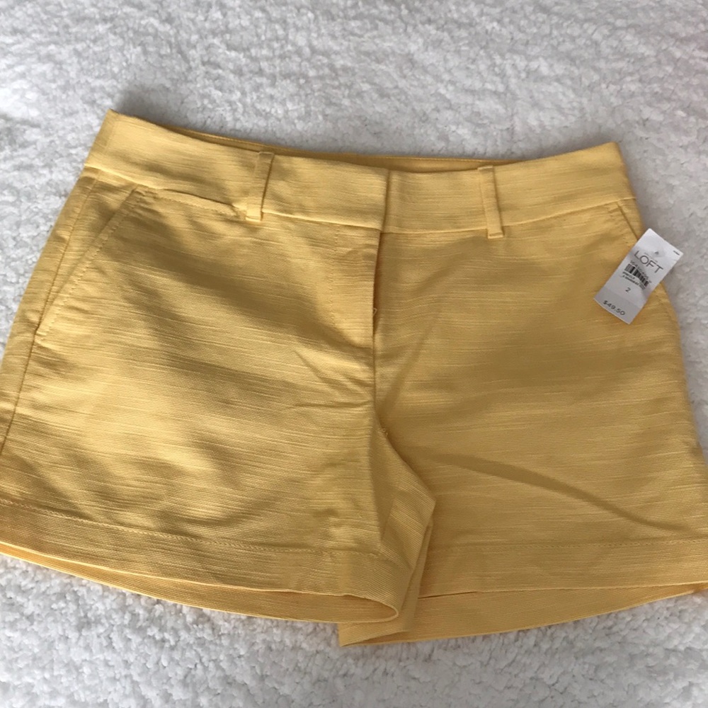 Loft Shorts